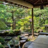 日本から帰宅